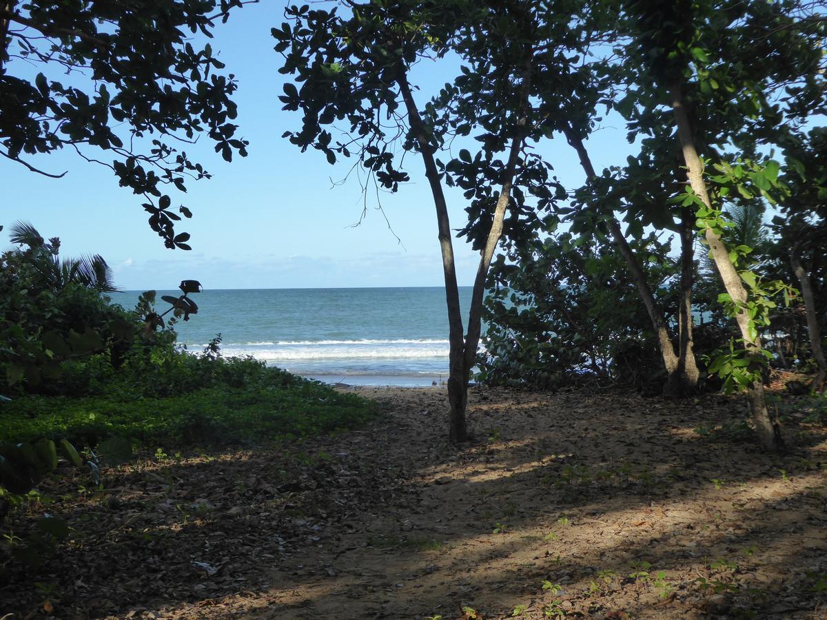 Coco Bungalows Sainte-Rose Zewnętrze zdjęcie