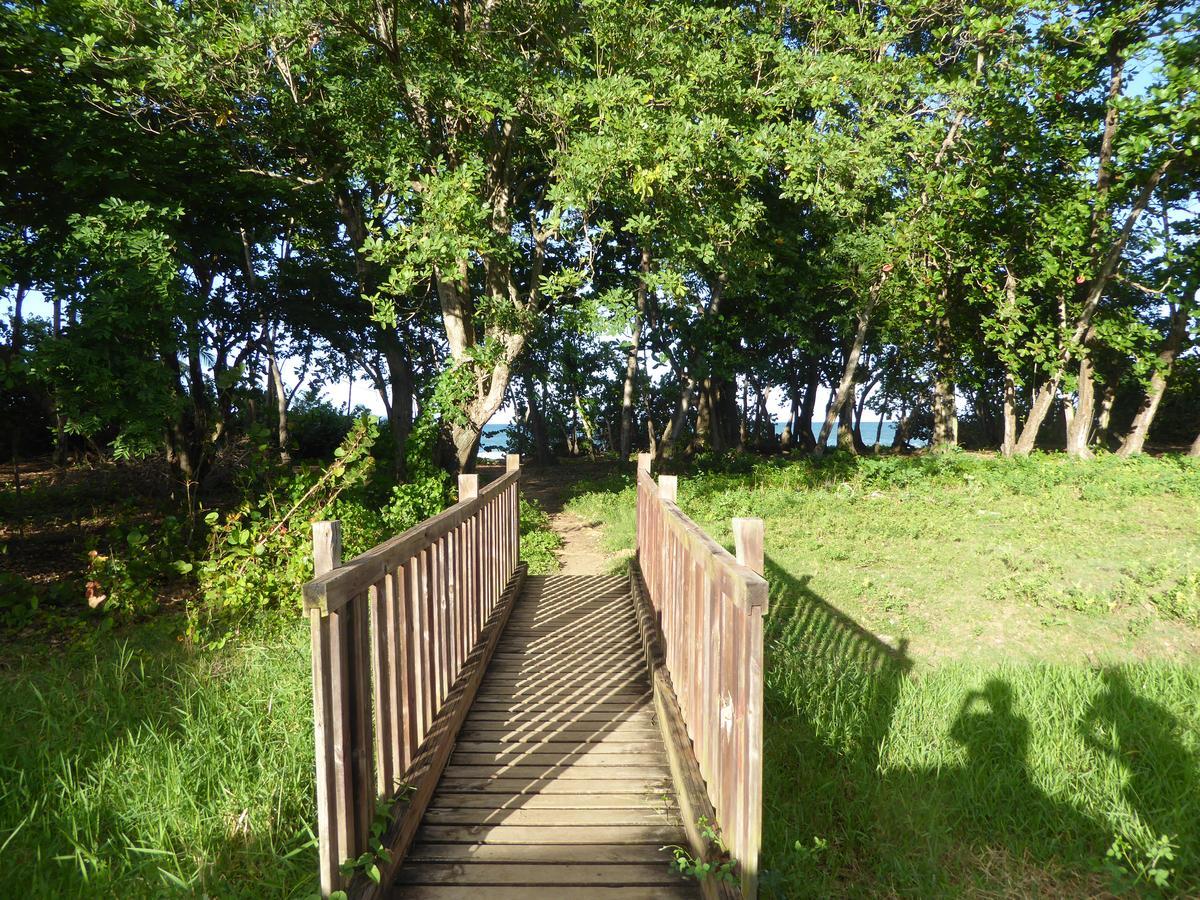 Coco Bungalows Sainte-Rose Zewnętrze zdjęcie